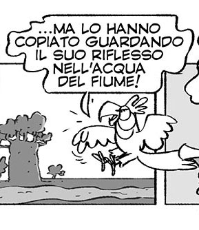 fumetto_pappagallo_03